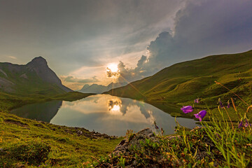 Rappensee - Oberstdorf - Allgäu - Sonnenuntergang - Blumen