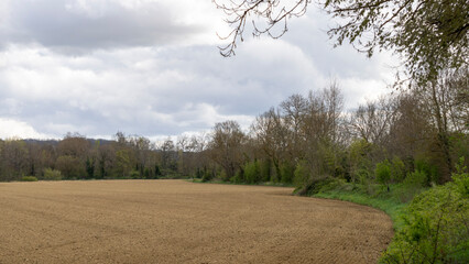 Walk in the fields, expanse of plowed land, wooded landscape and cloudy sky