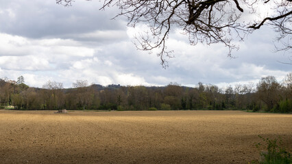 Walk in the fields, expanse of plowed land, wooded landscape and cloudy sky