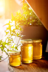 Jars of different honey varieties stocked on a shelf