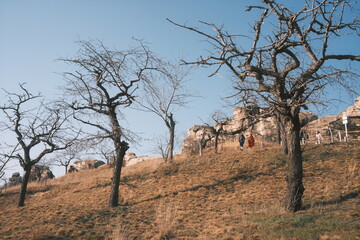 Obraz na płótnie Canvas Alte Obstbäume am Hang der Teufelsmauer