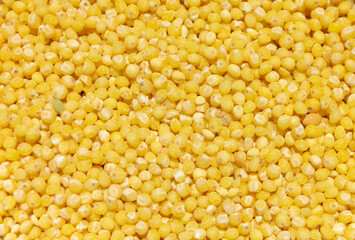 Texture background. Millet yellow grains, background, top view. Processed grains of millet, texture, macro, close-up. Peeled yellow grains of millet, top view, background. Yellow grains of millet.