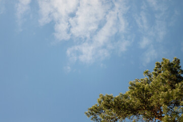 Obraz premium Blue sky with a fragment of chemical trail