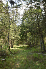 Canot Marais Kingsbury 21 Mai 2022 