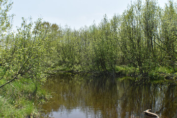 Canot Marais Kingsbury 21 Mai 2022