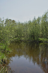 Canot Marais Kingsbury 21 Mai 2022