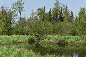 Canot Marais Kingsbury 21 Mai 2022 
