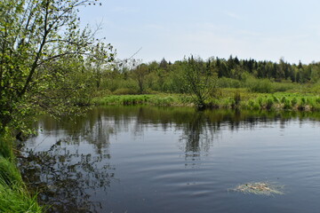 Obraz premium Canot Marais Kingsbury 21 Mai 2022