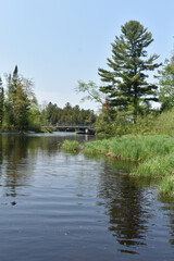 Fototapeta premium Canot Marais Kingsbury 21 Mai 2022 