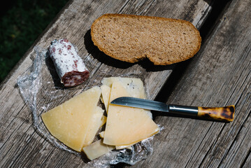 Concept: Urban fauna. Hedgehog looking for food among the garbage thrown in a park.