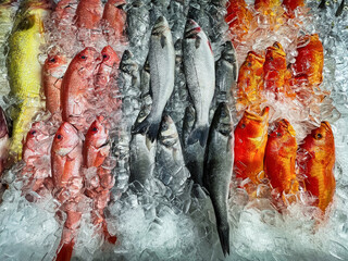 Seafood on ice at fish market. Top view and selective focus.