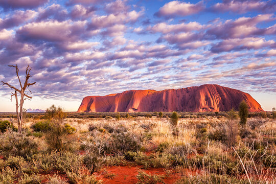 Uluru at sunrise under beautiful fufy clouds, Uluru-Kata Tjuta National Park, Northern Territory, Australia