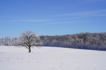 Fototapeta na wymiar Frozen Winter country landscape outside of Campbellsport, Wisconsin