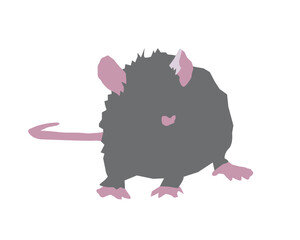 Vector Rat Flat Design