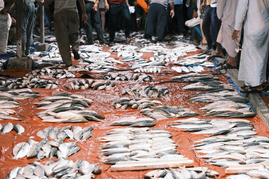 photo of traditional fishes Market in Fao town in basra city