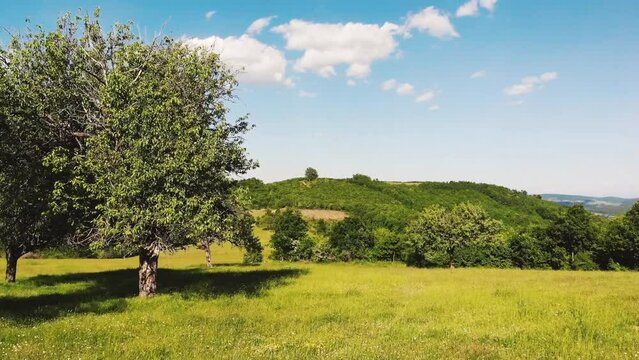 the old pear trees and beautiful landscape hills fields of Brus village, Kosovo