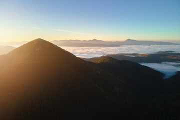 Aerial view of foggy evening over high peak with dark pine forest trees at bright sunset. Amazingl scenery of wild mountain woodland at dusk