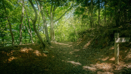 兵庫県・山陰餘部鉄橋駅を古の峠を越える細い崖道（現トレッキングコース）から見る	