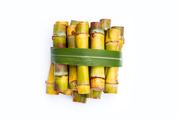 Sugar cane on white background.