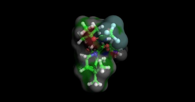 Nirmatrelvir / Paxlovid - COVID-19 drug
