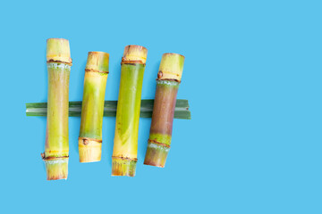 Sugar cane on blue background.