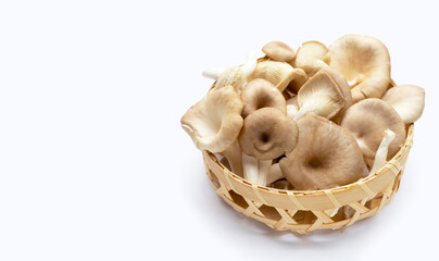 Fresh oyster mushroom in bamboo basket on white background.