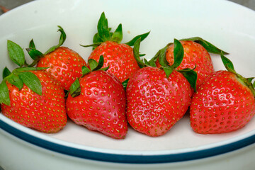 red strawberries in a bowl
