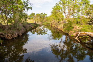 Fototapeta na wymiar Coon Creek in the afternoon