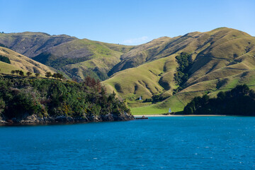 Obraz premium Small bay and rolling hill farmland in Marlborough Sounds viewed from sea.