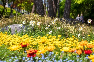 Obraz premium 경의선 숲길