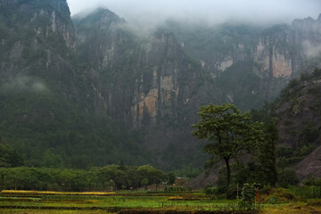 Green forest and tourism scenery in mountainous areas of Zhejiang Province, China, on May 30, 2014