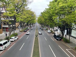 road in the city Omotesando, Tokyo