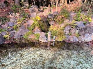 霧島神宮にある守り神アマビエ