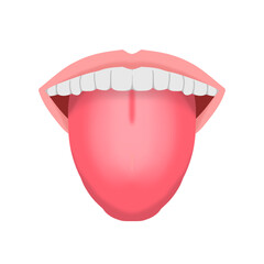 teeth isolated on white