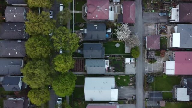 Top down view of green streets and cozy houses in Vancouver, Canda