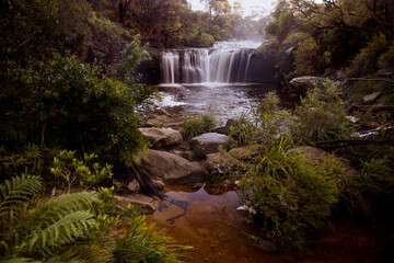 Waterfall in the Budderoo National Park, Nellies Glen in Australia