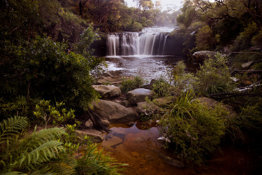 Waterfall in the Budderoo National Park, Nellies Glen in Australia