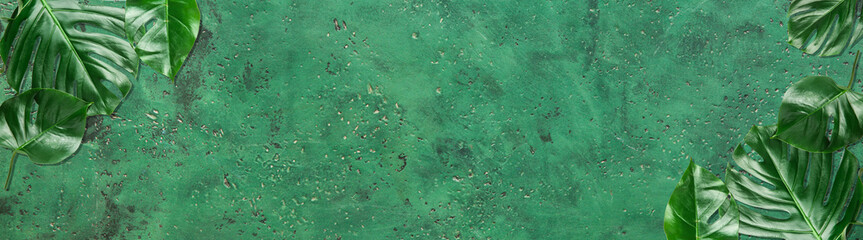 Tropical leaves on green background with space for text. Banner for design