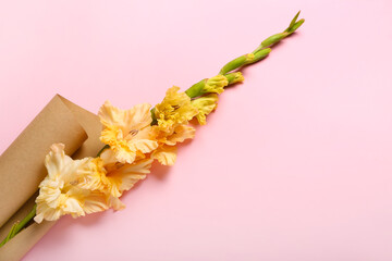 Beautiful gladiolus flower wrapped in paper on color background, closeup