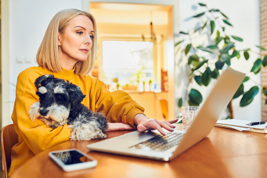 Mature woman using laptop holding dog while working from home office