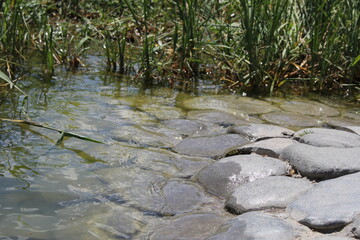 stones lined the banks of a flowing river