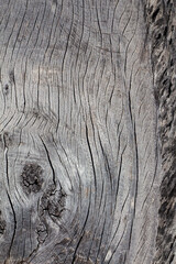 wood texture grunge background