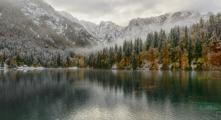 When autumn meets winter at the lake with perfect reflections in a calm water. Autumn trees with fresh snow and fog. 