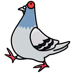 偉そうに歩くハト