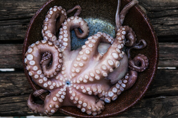 Octopus is raw, ready to cook. Close-up of a fresh raw octopus. seafood delicacy.