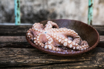 Octopus is raw, ready to cook. Close-up of a fresh raw octopus. seafood delicacy.