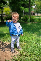 Portrait of sweet little boy in the park