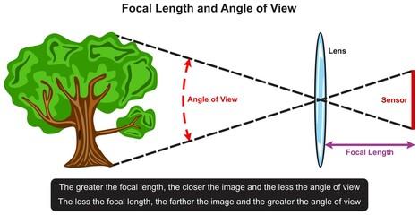 Focal length and angle of view infographic diagram relationship example tree in front of lens sensor photography physics mechanic dynamics science education vector chart illustration scheme - obrazy, fototapety, plakaty