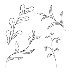 Line art with beautiful plants and flowers. Realistic plant in line art style. Beautiful background,template,wallpaper with line art. Unusual plants and flowers