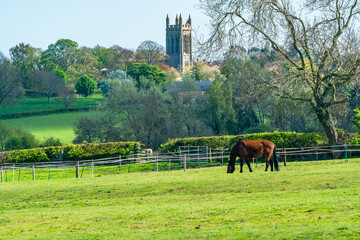 English countryside with St Andrew's church in the distance in Whissendine village in Rutland,...